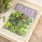 Plant - Houseplants: Choosing, Styling, Caring by Gynelle Leon