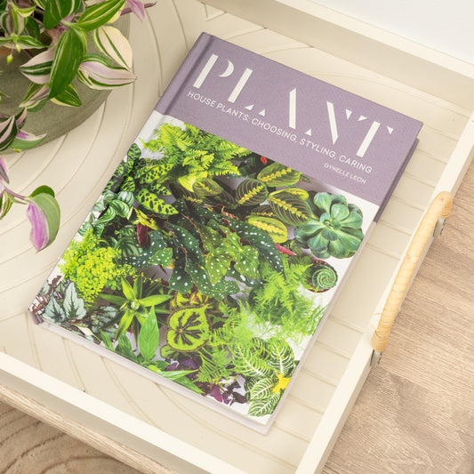 Plant - Houseplants: Choosing, Styling, Caring by Gynelle Leon | Books