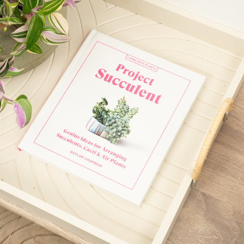 Project Succulent - Genius Ideas for Arranging Succulents, Cacti and Air Plants by Baylor Chapman