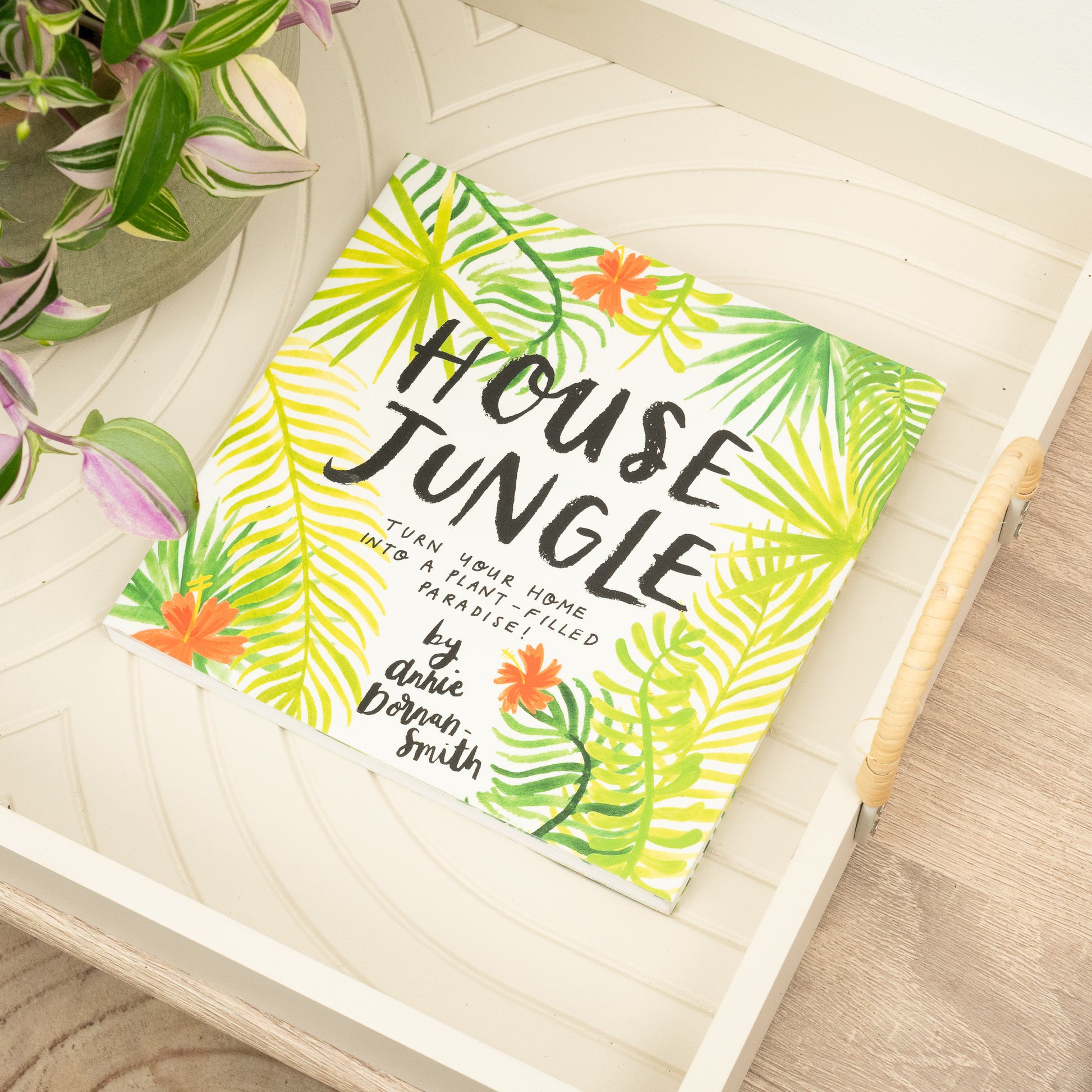 House Jungle: Turn Your Home Into A Plant Filled Paradise!