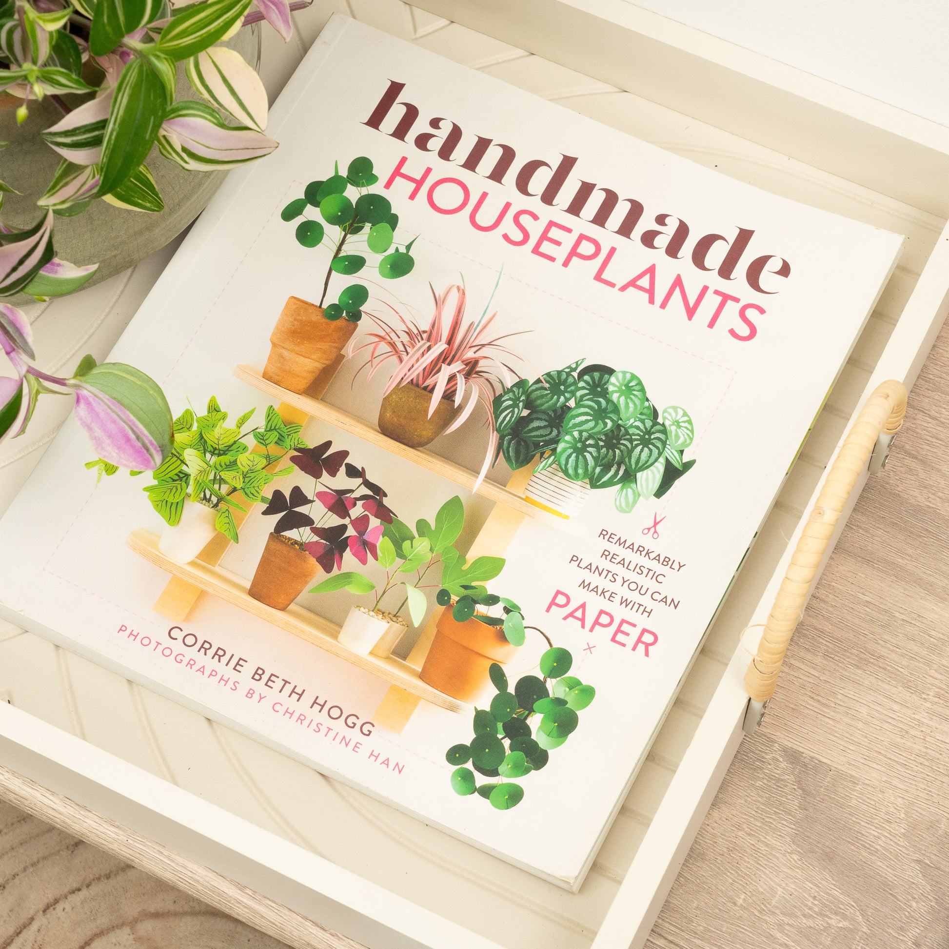 Handmade Houseplants by Corrie Beth Hogg