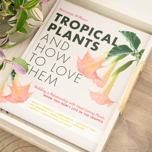 Tropical Plants and How To Love Them by Marianne Willburn | Books