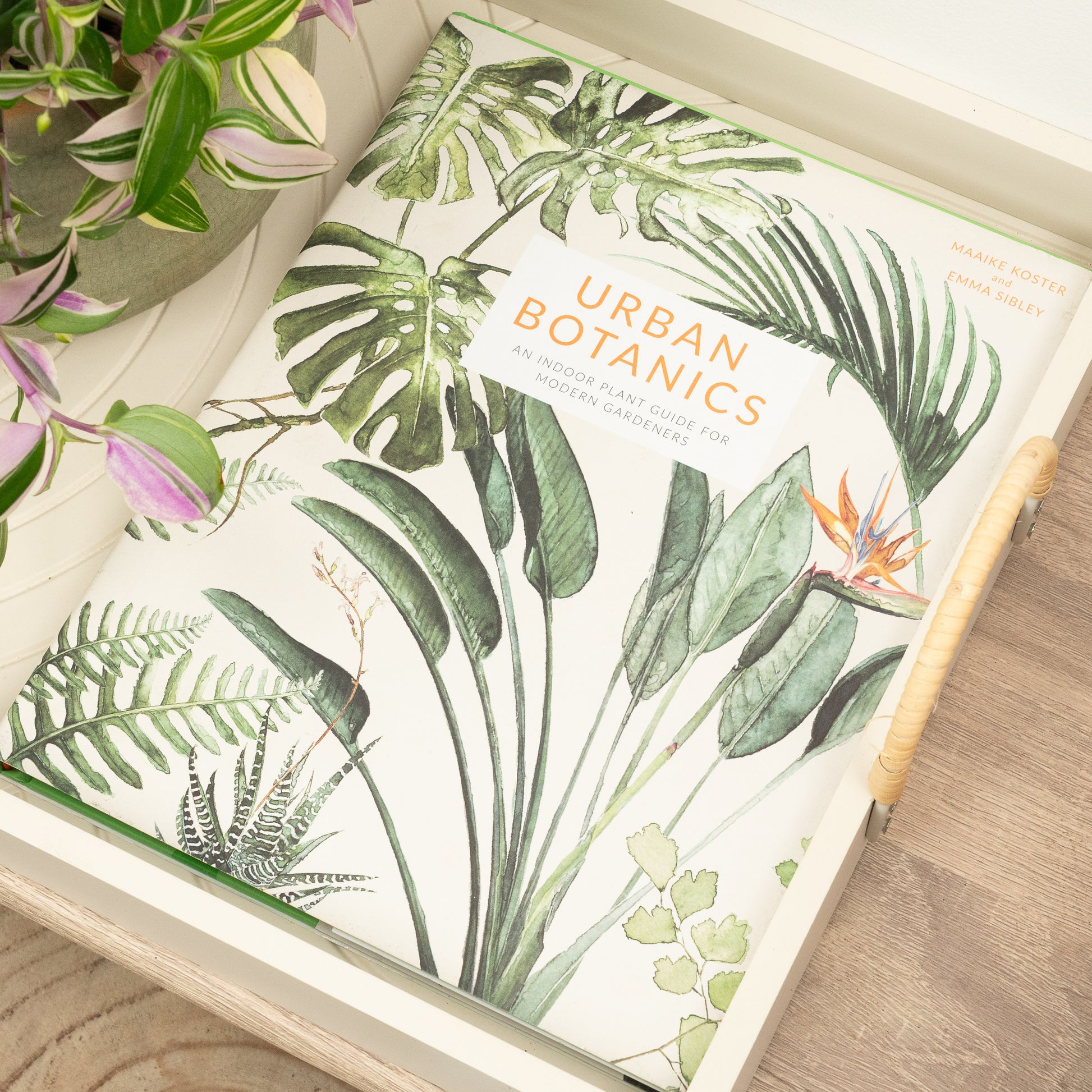 Urban Botanics - An Indoor Plant Guide For Modern Gardeners by Maaike Koster and Emma Sibley.