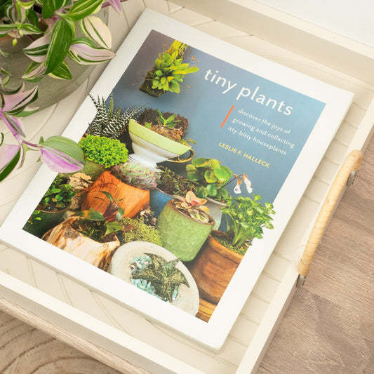 Tiny Plants by Leslie F. Halleck | Books