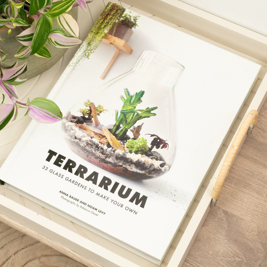 Terrarium - 33 Glass Gardens To Make Your Own | Books
