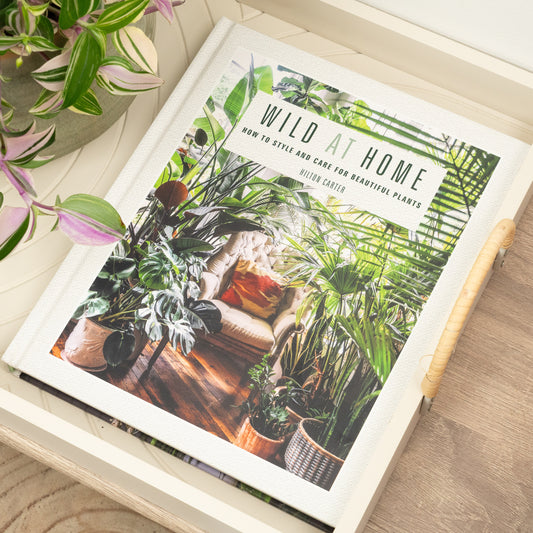Wild At Home: How to Style and Care for Beautiful Plants by Hilton Carter | Books