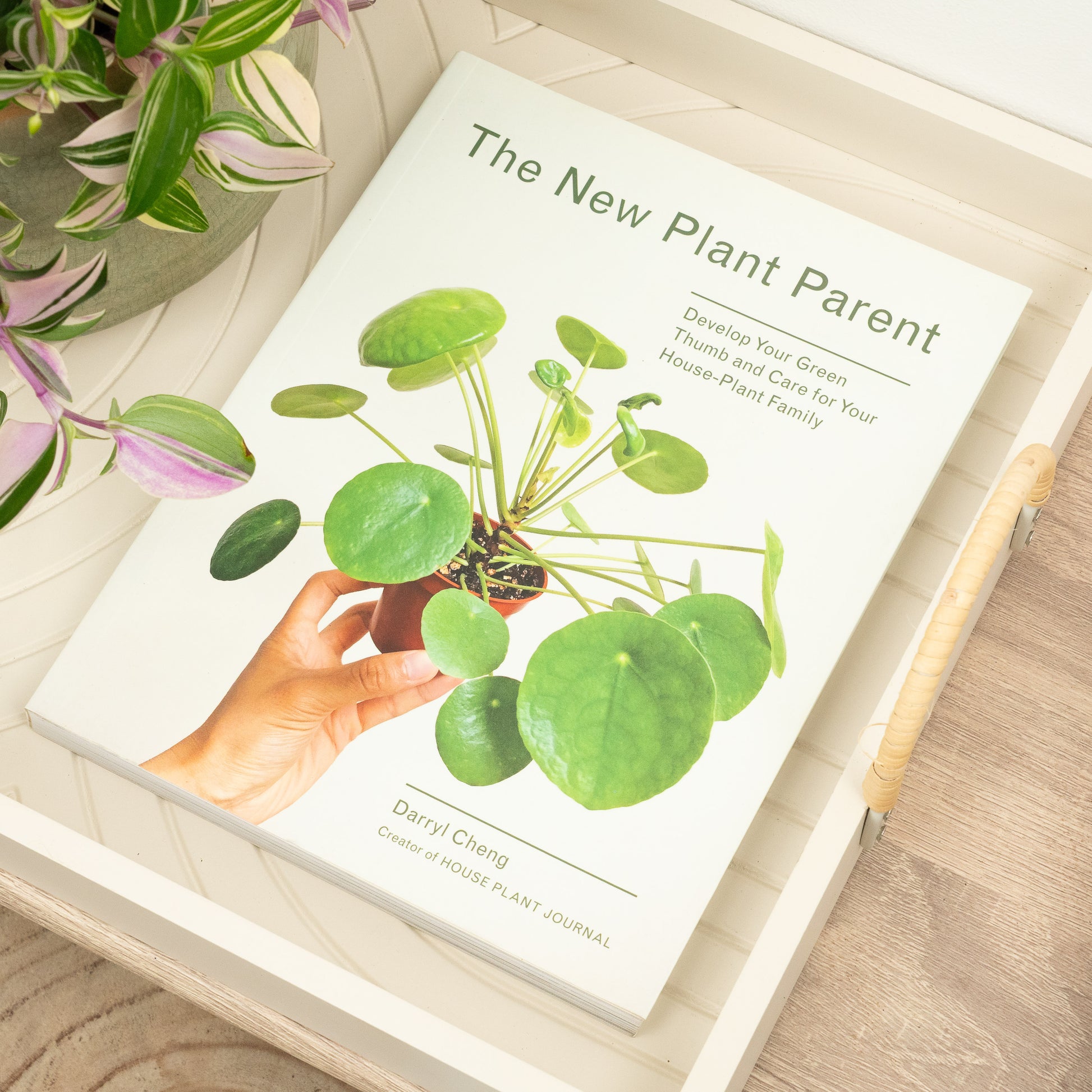 darryl cheng house plant journal The New Plant Parent by Darryl Cheng