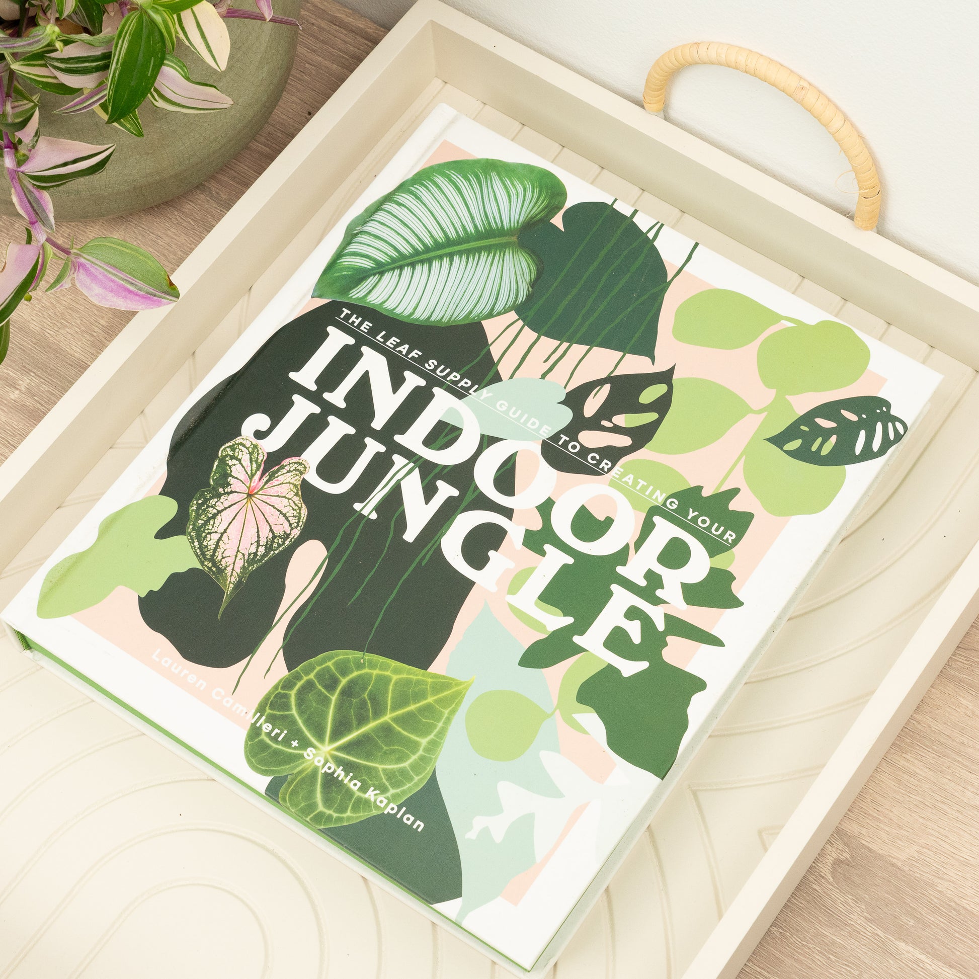 The Leaf Supply Guide to Creating Your Indoor Jungle by Lauren Camilleri and Sophia Kaplan