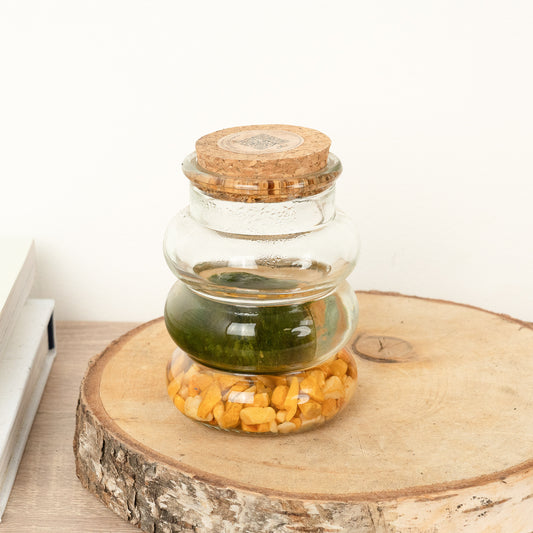 Marimo | Moss Ball | Rare Plant | Potted Houseplants