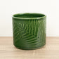 Imperfect! Orla Fern Pot | Green