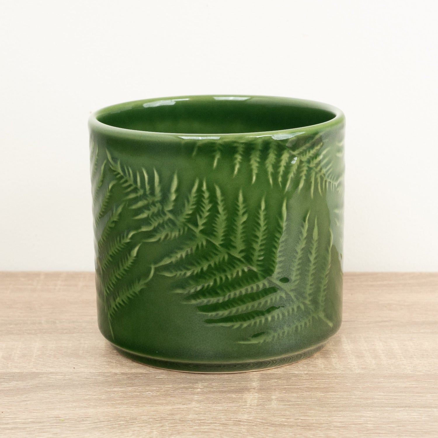Orla Fern Pot | Green