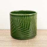 Orla Fern Pot | Green, 12 cm