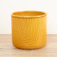Imperfect! Orla Glazed Fern Pot | Mustard