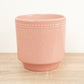Imperfect! Clover Pot | Dotted Pink
