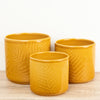 Orla Glazed Fern Pot | Mustard