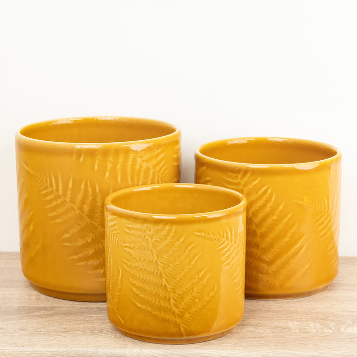 Orla Glazed Fern Pot | Mustard