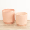 Clover Pot | Dotted Pink