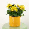 Mum | Ruffle Yellow