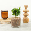 Coffee Gift | Arabica