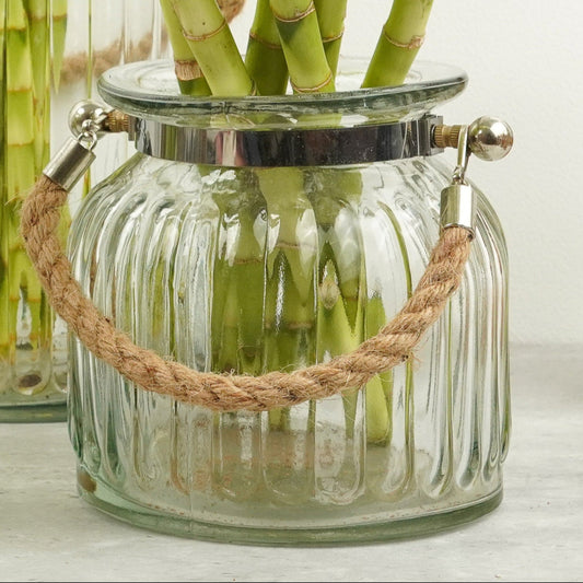 Imperfect! Glass Ripple Terrarium Small | Rope Handle | Gardening Accessories