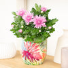 Mum | Double Pink