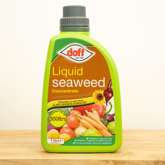 Doff Liquid Seaweed Concentrate Plant Food 1L | Fertilizers