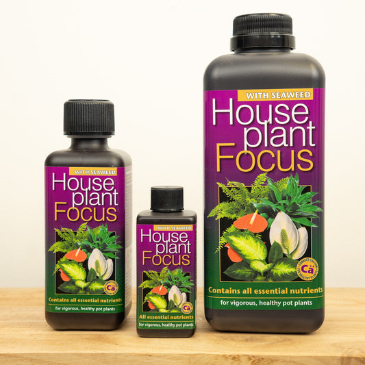 Houseplant Focus  - Plant Food | Fertilizers