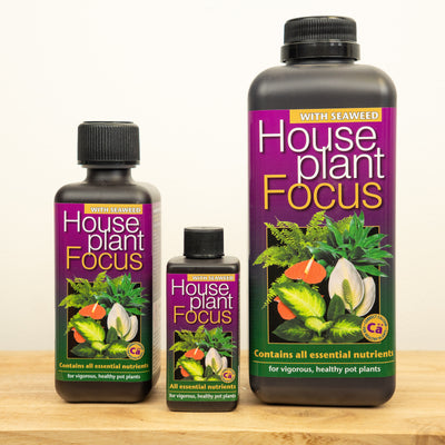 Houseplant Focus  - Plant Food