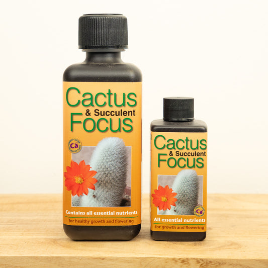 Cactus & Succulent Focus  - Plant Food | Fertilizers