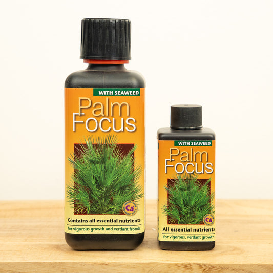 Palm Focus - Plant Food | Fertilizers
