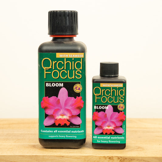 Orchid Focus Bloom - Plant Food | Fertilizers