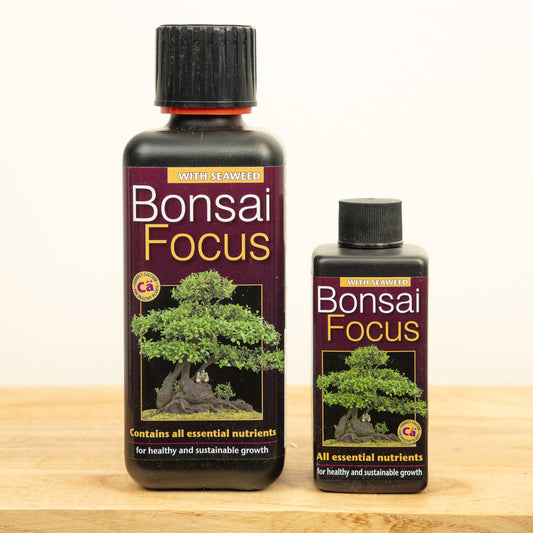 Bonsai Focus - Plant Food | Fertilizers