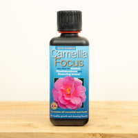 Camellia, Azalea & Rhododendron Focus  - Plant Food