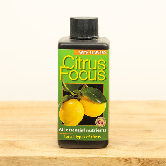 Citrus Focus - Plant Food | Fertilizers