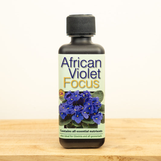 African Violet Focus Plant Food | Fertilizers