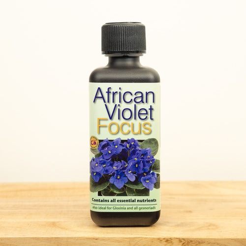 African Violet Focus Plant Food