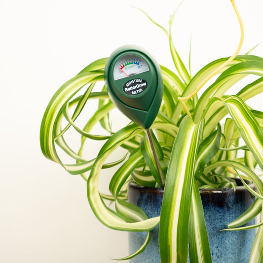 Bettergrow Soil Moisture Meter | Gardening Tools