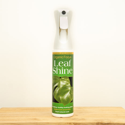 Organic Focus Leaf Shine | Gardening Accessories