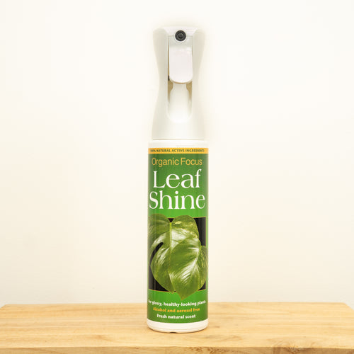 Organic Focus Leaf Shine