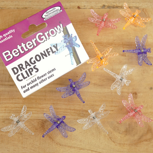 Plant Support Clips - Dragonfly Design | Gardening Accessories