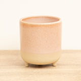 Jolie Matte Pot | Rose, 6 cm
