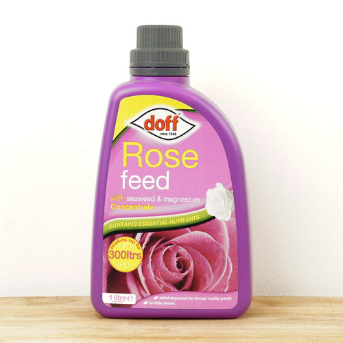 Doff Rose Feed