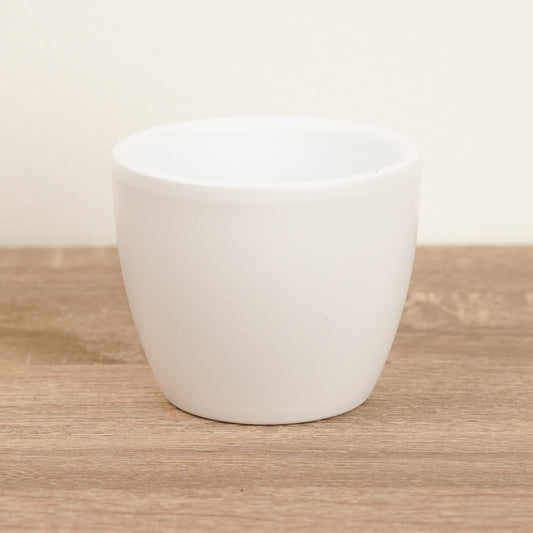 Classic Ceramic Pot | White | Pots & Planters