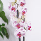 Phalaenopsis Orchid | Calypso