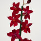 Cambria Orchid | Ruby