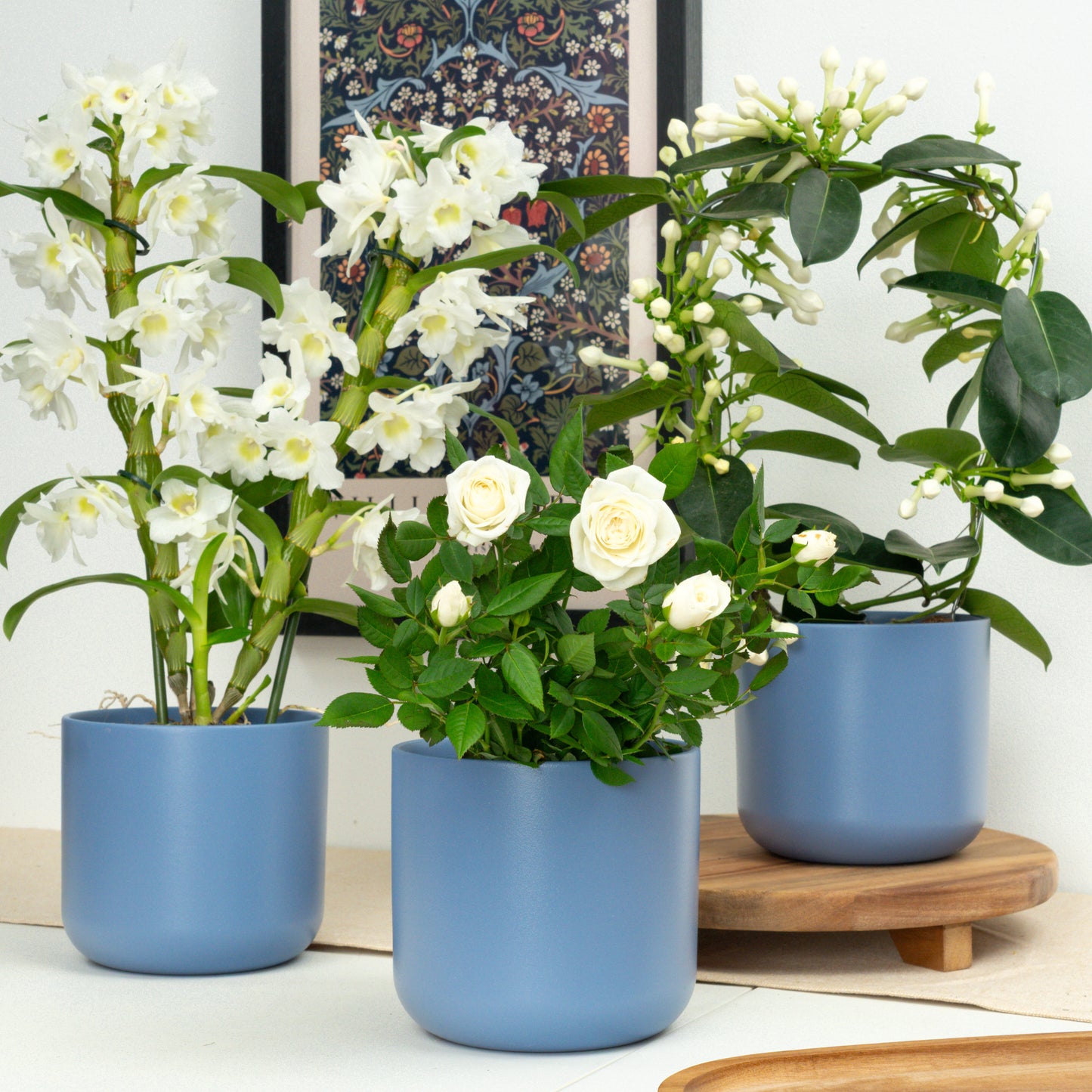White Botanical Luxe | Plant Bundle