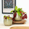 Monkey Jars | Bloody Mary