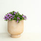 Low Maintenance Patio | Garden Bundle