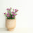 Garden Plants