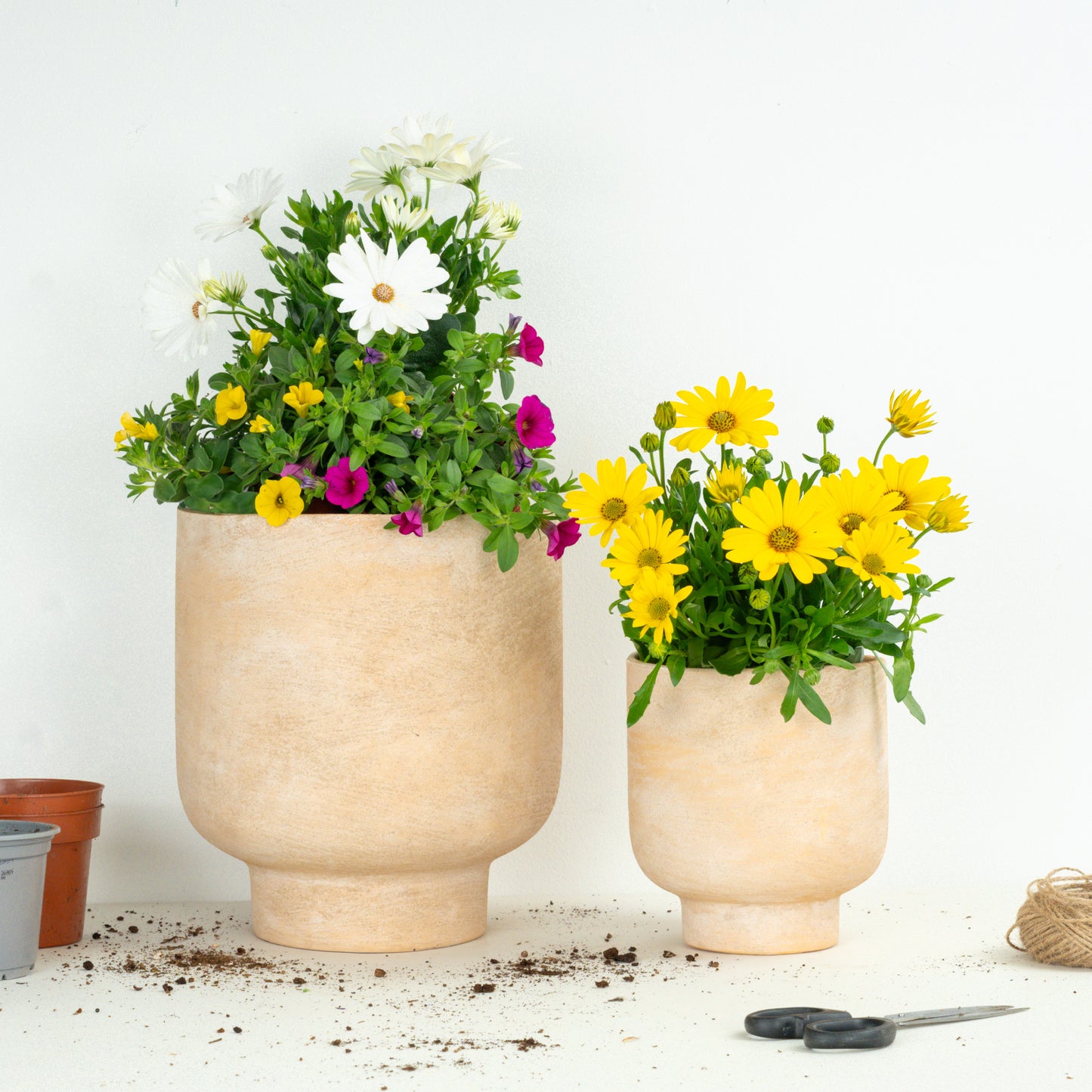 Balcony Glow Up | Garden Bundle